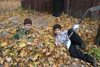 Two brothers playing in a leaf pile.