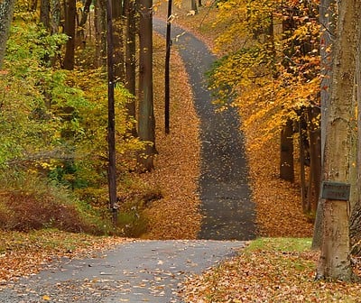 Fall walk path with autumn colors.