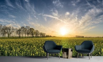 Beautiful sunset wall mural behind chairs and a side table.