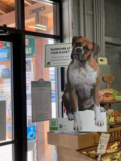 Brown and white boxer cutout inside front door at Douglas Feed Supply store.