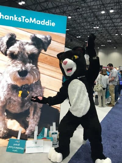 Cat mascot standing in front of large Maddie dog cutout.