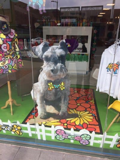 Maddie schnauzer dog with bowtie cutout in window display.