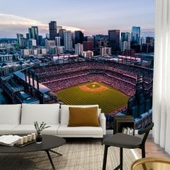 Sports Wall Murals