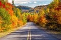 Image for Fall Colors Wall Mural