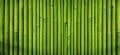Image for Nighttime Bamboo Wall Mural
