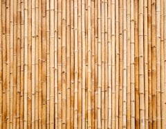 Image for Bamboo Screen Wall Mural
