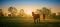 Image for Horses in Meadow Wall Mural